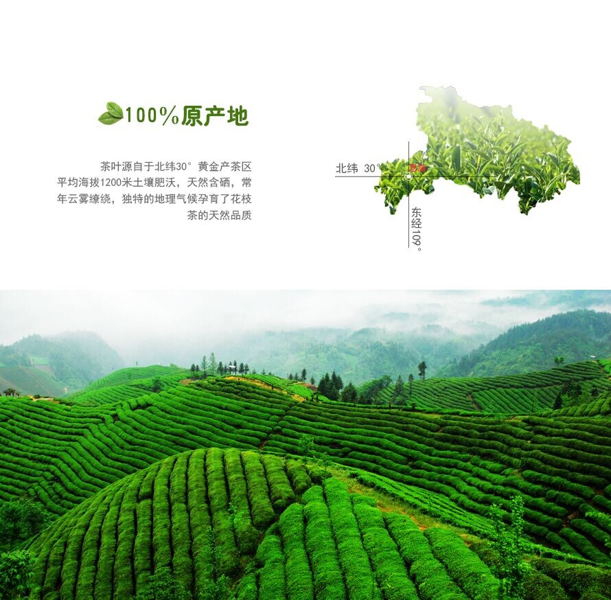 恩施硒茶花枝茶绿茶天然含硒香茶100g2019年新茶有机茶超值
